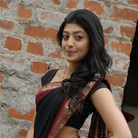 Praneetha hot in transparent black saree | Picture 68325